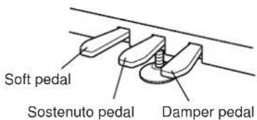 Soft pedal Sostenuto pedal Damper pedal