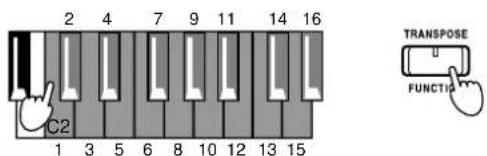 2 4 7 9 11 14 16 C2 1 3 5 6 8 10 12 13 15 TRANSPOSE FUNCTION