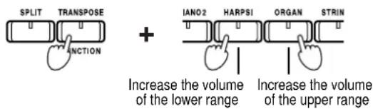 SPLIT TRANSPOSE + IANO2 HARPSI ORGAN STRIN INCTION Increase the volume of the lower range Increase the volume of the upper range