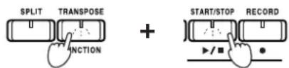 SPLIT TRANSPOSE + START/STOP RECORD