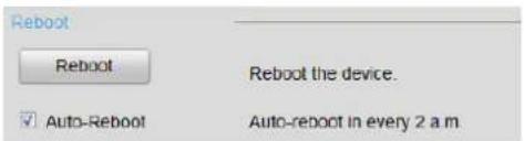Reboot Reboot the device. ✓ Auto-Reboot Auto-reboot in every 2 a.m.