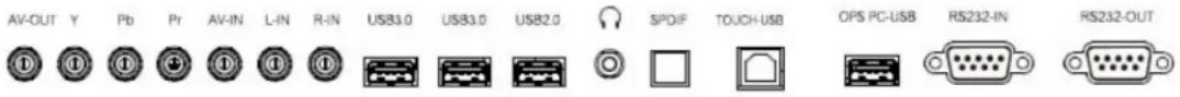 INFOCUS BigTouch INF7510AG - Side Panel Ports - 1