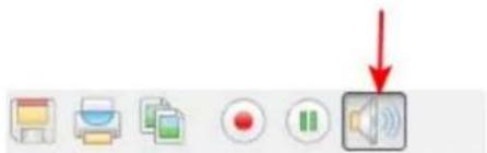 Screenshot of a software toolbar with icons for file operations, print, playback, and speaker
