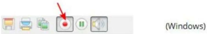 (Windows)