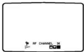 RF CHANNEL 36