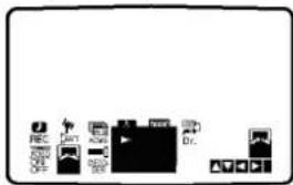REC OFF CAT ADSL DZ