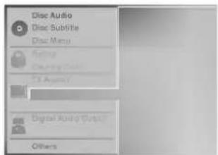 Disc Audio Disc Subtile Disc Menu Sync Clearing Cuts T3 Audio Digital Audio Outputs Others