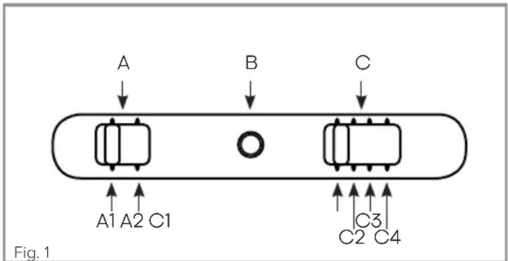 A B C A1 A2 C1 C3 C2 C4 Fig. 1