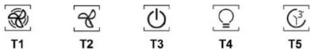 T1 T2 T3 T4 T5