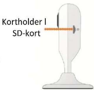 Kortholder I SD-kort