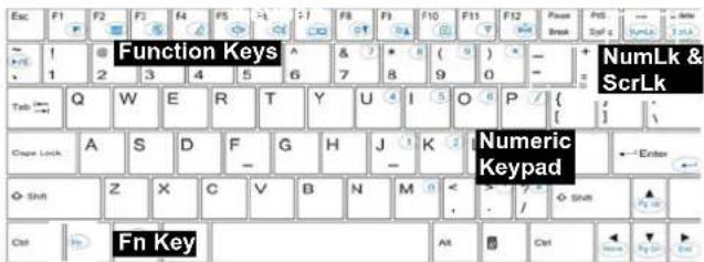 Function Keys Numeric Keypad Fn Key