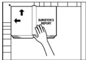 SURVEYOR'S REPORT