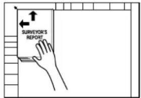 SURVEYOR'S REPORT