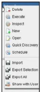 Delete Execute Inspect New Open Quick Discovery Schedule Import Export Selection Export All Share with User