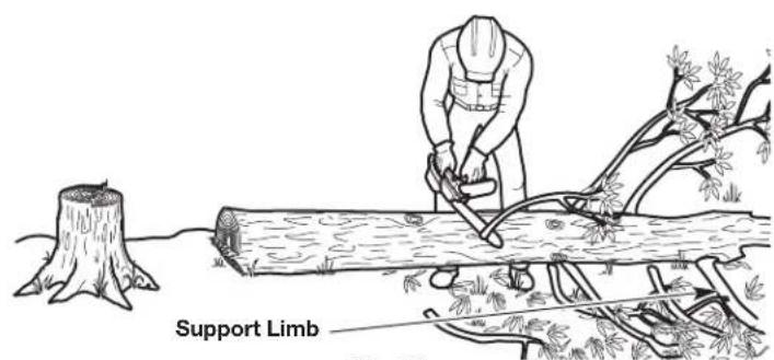 Support Limb Fig. 10
