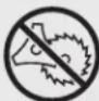Craftsman CMXGTAMDAZ25 - • SAFETY &amp; INTERNATIONAL SYMBOLS • - 16