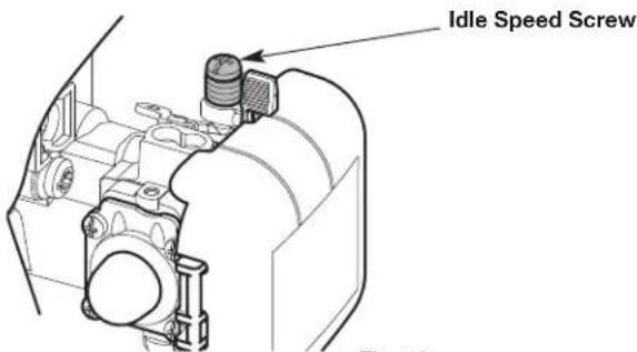Idle Speed Screw