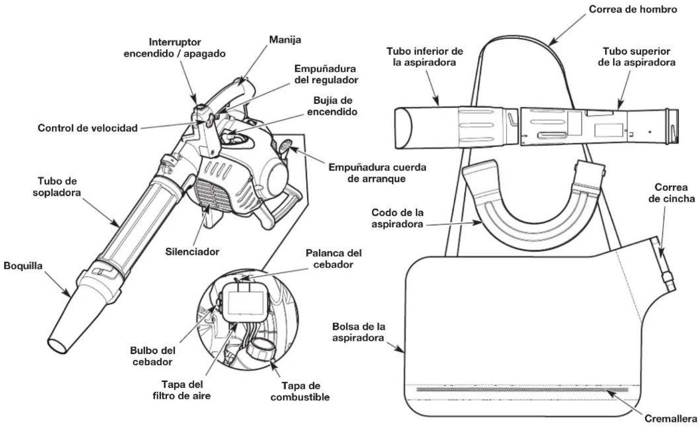 Interruptor encendido / apagado Manija Empuñadura del regulador Bujía de encendido Control de velocidad Tubo de sopladora Silenciador Palanca del cebador Bolbo del cebador Tapa del filtro de aire Tapa de combustible Boquilla Empuñadura cuerda de arranque Codo de la aspiradora Bolsa de la aspiradora Cremallera Correa de hombro Tubo inferior de la aspiradora Tubo superior de la aspiradora Correa de cincha