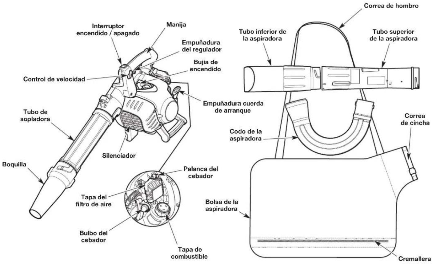 Interruptor encendido / apagado Manija Empuñadura del regulador Bujía de encendido Control de velocidad Tubo de sopladora Silenciador Boquilla Palanca del cebador Tapa del filtro de aire Bulbo del cebador Tapa de combustible Empuñadura cuerda de arranque Codo de la aspiradora Bolsa de la aspiradora Tubo inferior de la aspiradora Correa de hombro Tubo superior de la aspiradora Correa de cincha Cremallera