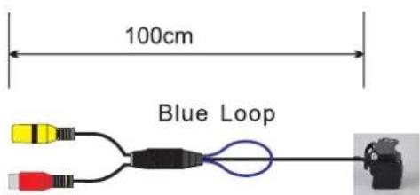 100cm Blue Loop