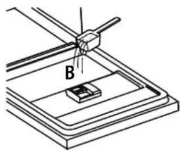 B