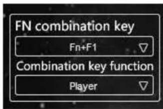 FN combination key Fn+F1 Combination key function Player
