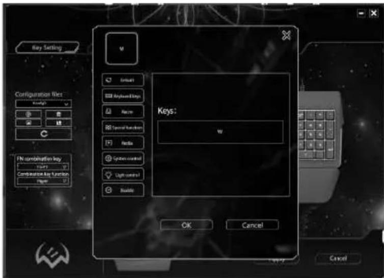 Key Setting Configuration keys Form1 OK Cancel FN combination key Start Combination key function New M Initial Keyboard Keys Name RS Special functions F Hosts System control Light users! Enable OK Cancel