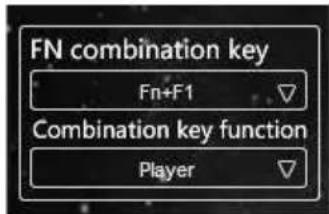FN combination key Fn+F1 Combination key function Player
