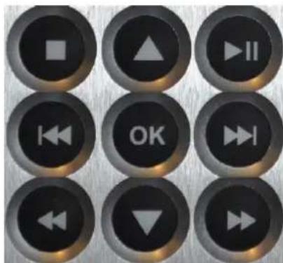 Grid of nine black circular buttons with white symbols including play, navigation, and directional arrows