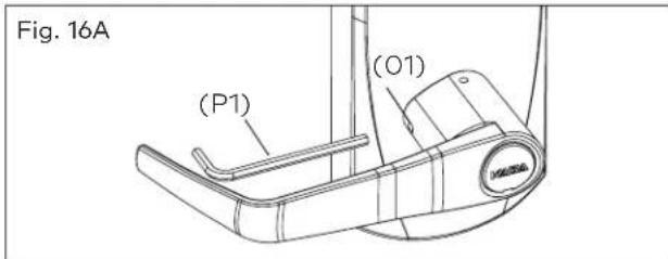 Fig. 16A (P1) (O1)