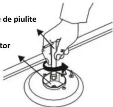 de piulite tor