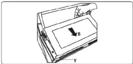 B y