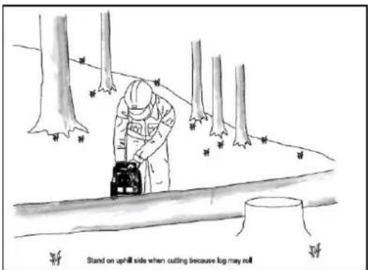 Stand on uphill side when cutting because log may roll