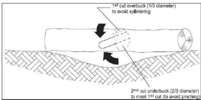 1st cut overbuck (1/3 diameter) to avoid splintering 2nd cut underbuck (2/3 diameter) to meet 1st cut (to avoid pinching)