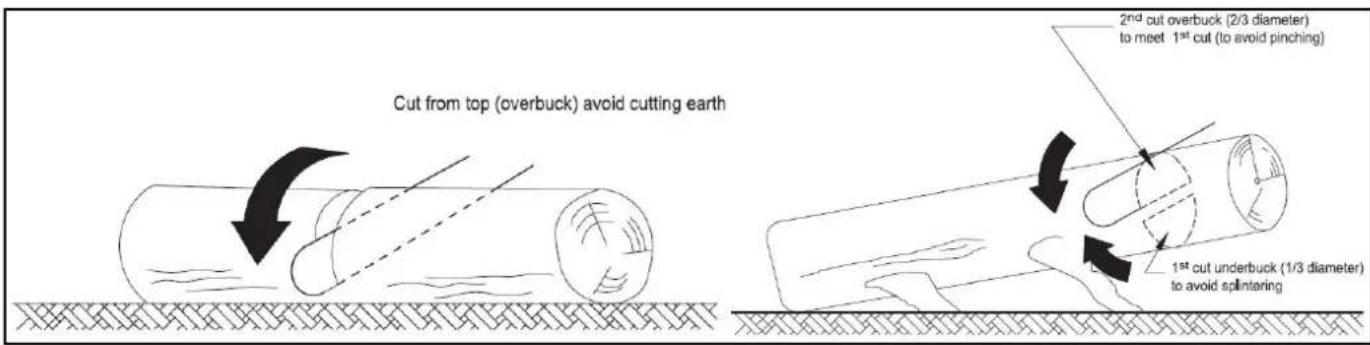 Cut from top (overbuck) avoid cutting earth 2nd cut overbuck (2/3 diameter) to meet 1st cut (to avoid pinching) 1st cut underbuck (1/3 diameter) to avoid splintering