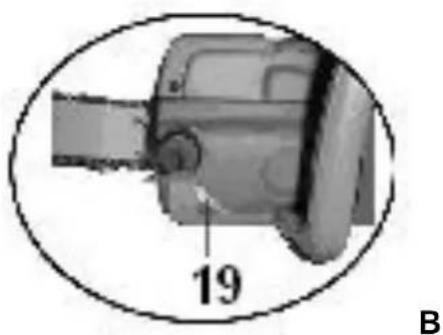 19 B