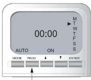 00:00 AUTO ON MODE PROG ENTER M T W T F S S