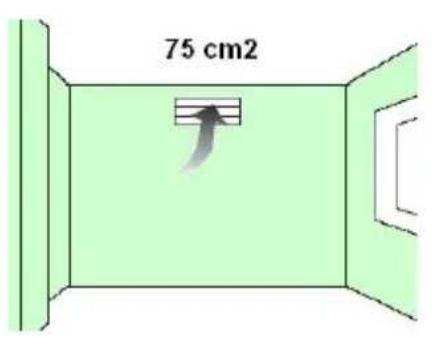 75 cm2