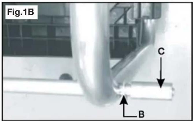 Fig.1B C B