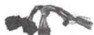 CRUX CS-GM11B - PARTS INCLUDED: - 2