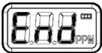 8.8.8 PPM