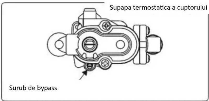 Supapa termostatica a cuptorului Surub de bypass