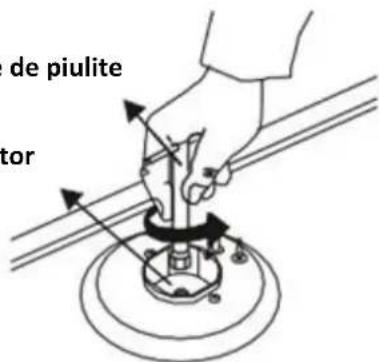 de piulite tor