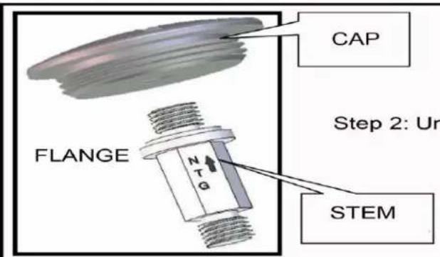 CAP FLANGE Step 2: Ur NTG STEM