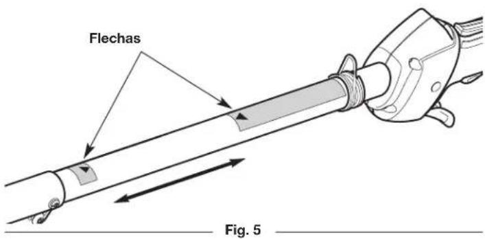 Flechas Fig. 5