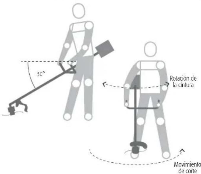 30° Rotación de la cintura Movimiento de corte