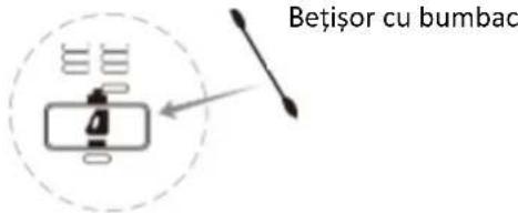 Betişor cu bumbac