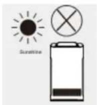 Sunshine