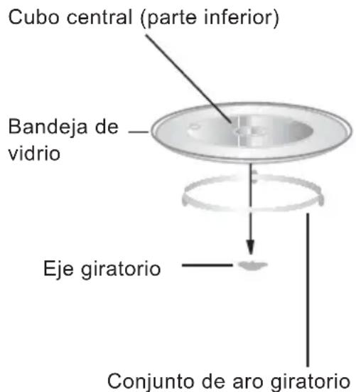 Cubo central (parte inferior) Bandeja de vidrio Eje giratorio Conjunto de aro giratorio
