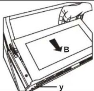 B y